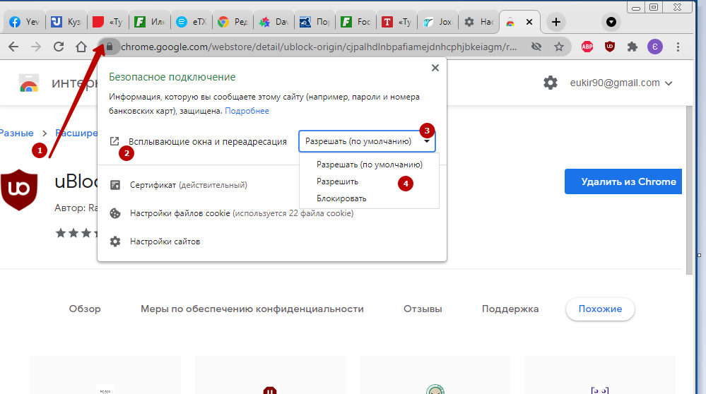 Всплывающее окно google как убрать. Разрешить всплывающие окна Chrome. Всплывающие окна хром разрешить. Блокировщик всплывающих окон Safari.